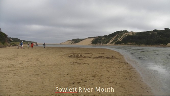 Powlett River Mouth