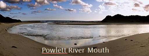 Powlett River Mouth
